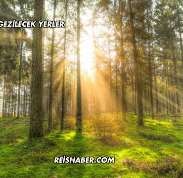 Düzce'de Gezilecek Yerler