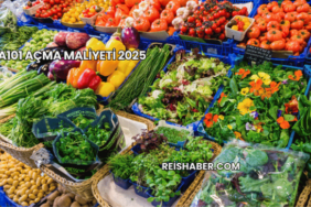 A101 Açma Maliyeti 2025