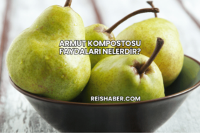 Armut Kompostosu Faydaları Nelerdir?