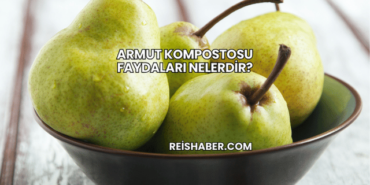 Armut Kompostosu Faydaları Nelerdir?