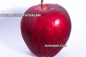 Ayı Elmasının Faydaları