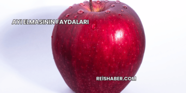 Ayı Elmasının Faydaları