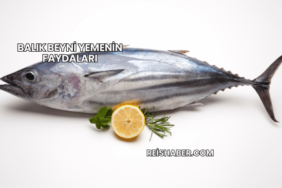 Balık Beyni Yemenin Faydaları