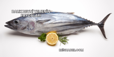 Balık Beyni Yemenin Faydaları