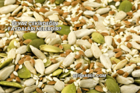 Beyaz Çekirdeğin Faydaları Nelerdir?