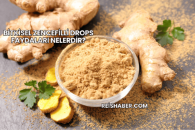 Bitkisel Zencefilli Drops Faydaları Nelerdir?
