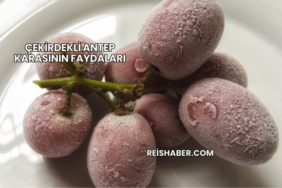 Çekirdekli Antep Karasının Faydaları