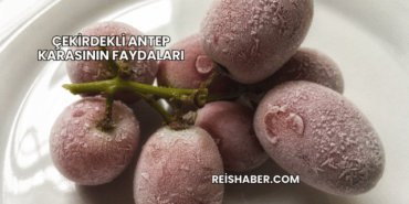 Çekirdekli Antep Karasının Faydaları