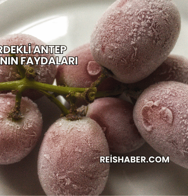 Çekirdekli Antep Karasının Faydaları