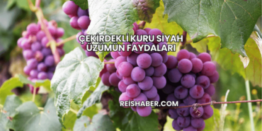 Çekirdekli Kuru Siyah Üzümün Faydaları