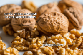 Ceviz ve Bal Karışımı Faydaları Nelerdir?