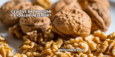 Ceviz ve Bal Karışımı Faydaları Nelerdir?