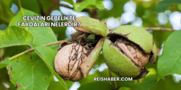 Cevizin Gebelikte Faydaları Nelerdir?
