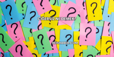 Ciğersiz Ne Demek?