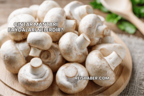 Çıntar Mantarı Faydaları Nelerdir?