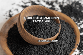 Çörek Otu Ezmesinin Faydaları