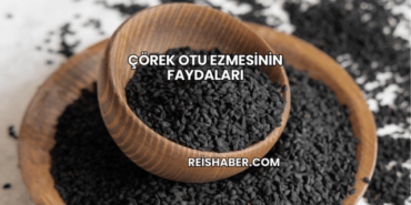 Çörek Otu Ezmesinin Faydaları