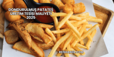 Dondurulmuş Patates Üretim Tesisi Maliyeti 2025