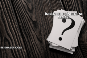 İngilizcede Çingene Ne Demek?