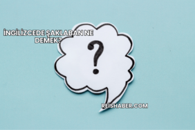 İngilizcede Şaklaban Ne Demek?