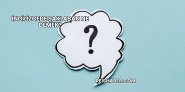 İngilizcede Şaklaban Ne Demek?