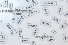 İngilizcede Toy Shop Ne Demek?