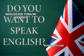 İngilizcede Tuna Ne Demek?