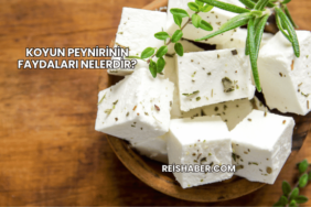 Koyun Peynirinin Faydaları Nelerdir?