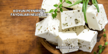 Koyun Peynirinin Faydaları Nelerdir?