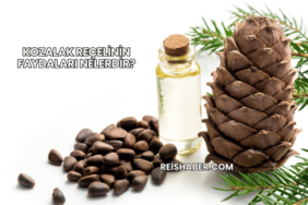 Kozalak Reçelinin Faydaları Nelerdir?