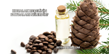 Kozalak Reçelinin Faydaları Nelerdir?