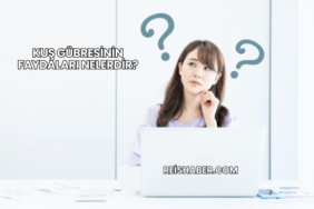 Kuş Gübresinin Faydaları Nelerdir?