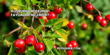 Kuşburnu Reçelinin Faydaları Nelerdir?