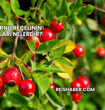 Kuşburnu Reçelinin Faydaları Nelerdir?