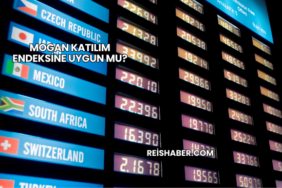 Mogan Katılım Endeksine Uygun mu?