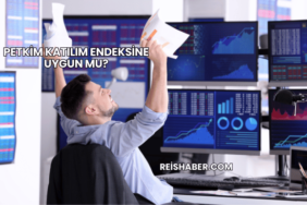 Petkim Katılım Endeksine Uygun mu?