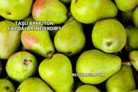 Taşlı Armutun Faydaları Nelerdir?