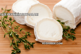 Taze Peynirin Faydaları