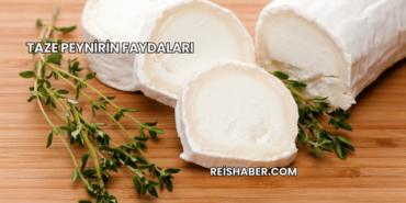 Taze Peynirin Faydaları