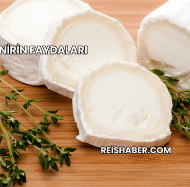 Taze Peynirin Faydaları