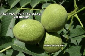 Taze Yaş Ceviz Faydaları Nelerdir?