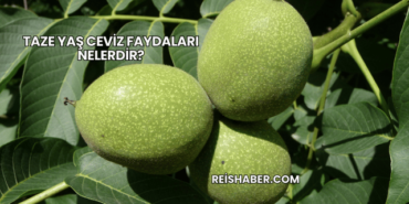 Taze Yaş Ceviz Faydaları Nelerdir?