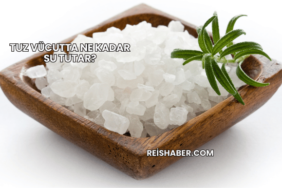 Tuz Vücutta Ne Kadar Su Tutar?
