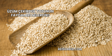 Üzüm Çekirdek Tozunun Faydaları Nelerdir?