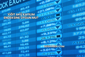 Yiğit Akü Katılım Endeksine Uygun mu?